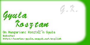 gyula kosztan business card